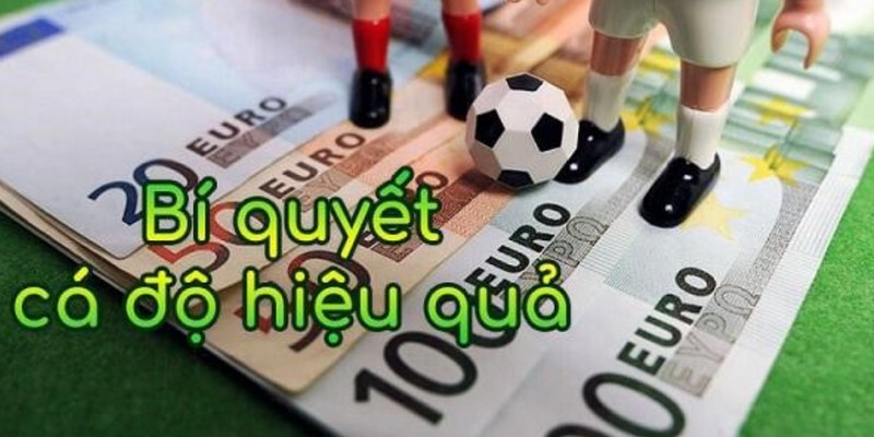 Phong độ ảnh hưởng lớn đến hiệu suất thi đấu nên cần được quan tâm hàng đầu