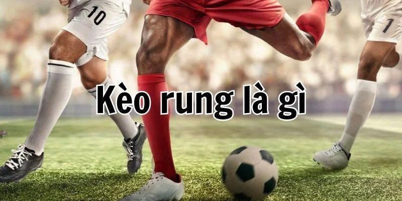Tìm hiểu về kèo rung