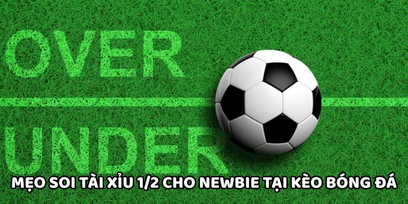 Mẹo soi tài xỉu 1/2 cho newbie tại Kèo Bóng Đá