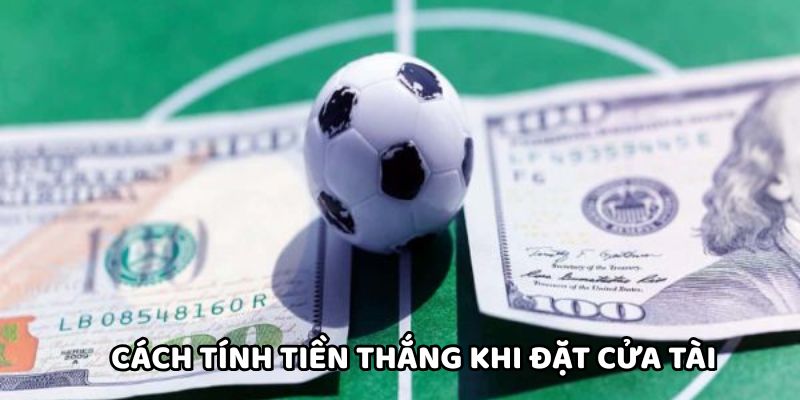 Cách tính tiền thắng khi đặt cửa Tài