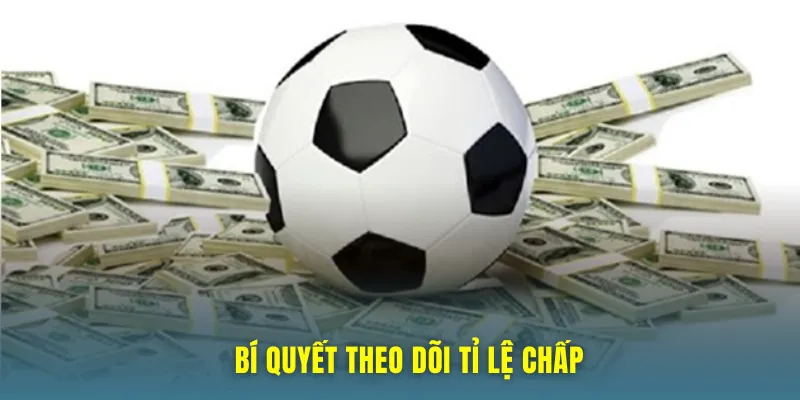 Tài Xỉu 2.5